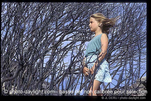 petite fille dans les arbres - little girl in the trees